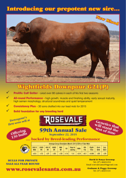 Introducing our prepotent new sire... Wightfields