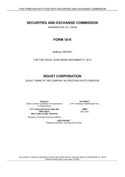 10-K Roust Corporation 2014 annual report