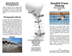 Sandhill Crane Viewing