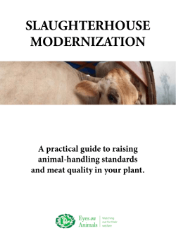 Slaughterhouse modernization Manual