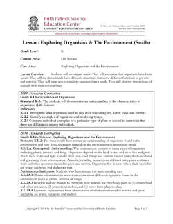 Snails Lesson Plan SISSI