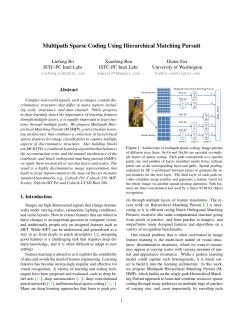 Multipath Sparse Coding Using Hierarchical Matching Pursuit