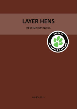information notes â layer hens