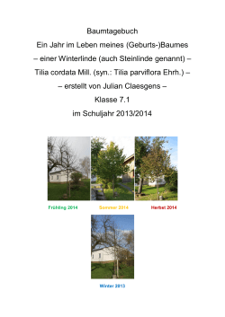 BaumtagebuchSJ 13_14 Julian Claesgens