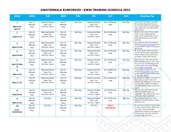 RunForH2O 10K Training Schedule