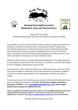 Running Paws Agility presents Motivation, drive and forward focus