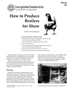 How to Produce Broilers for Show
