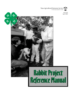 Rabbit Project Reference Manual