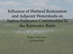 Influence of Wetland Restoration on Native Pollinator Communities