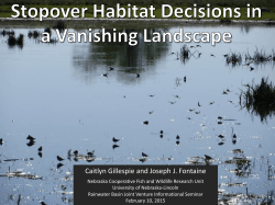 Stopover Habitat Decisions in a Vanishing Landscape
