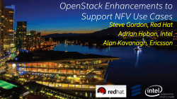 OpenStack Enhancements to Support NFV Use Cases