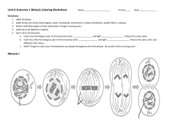 Unit 6 Outcome 1 Meiosis Coloring Worksheet