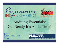 Auditing Essentials: Get Ready It`s Audit Time!