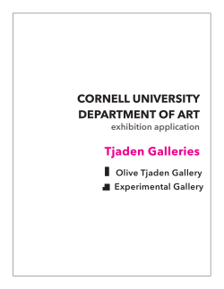 Tjaden Galleries Application and Guidelines - AAP