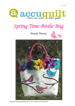 Spring Time Birdie Bag Mandy Murray