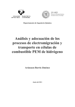 AnÃ¡lisis y adecuaciÃ³n de los procesos de electromigraciÃ³n y