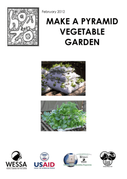 MAKE A PYRAMID VEGETABLE GARDEN