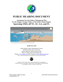 public hearing document - South Atlantic Fishery Management Council