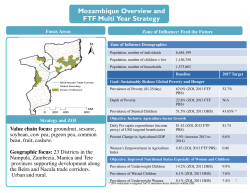 Mozambique Overview and Multi-Year Strategy