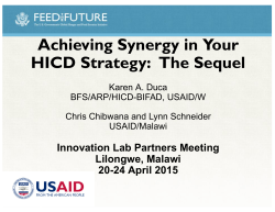 Achieving Synergy in Your HICD Strategy: The Sequel