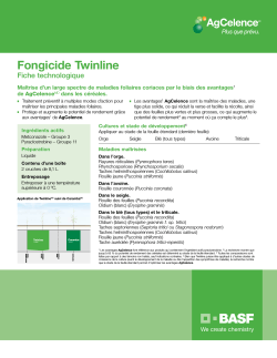 Twinline Fiche Technologique ( PDF, 1669 Ko)