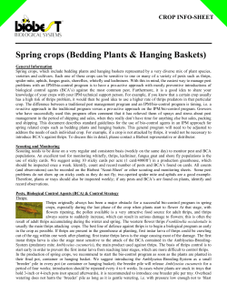 Biological Control in Spring Crops
