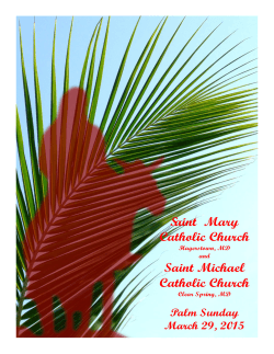 March 29, 2015, Palm Sunday of the Passion of the Lord