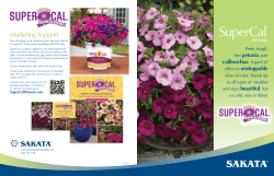 SuperCalÂ® Product Brochure