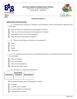 6.3 Homework sheet