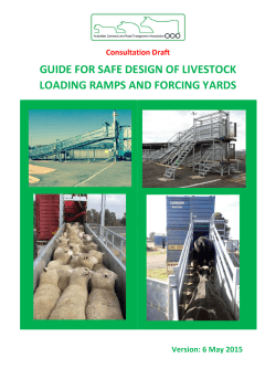 guide for safe design of livestock loading ramps and forcing