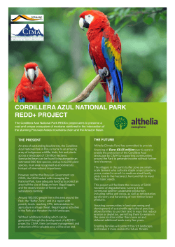information about Cordillera Azul National Park REDD+ Project