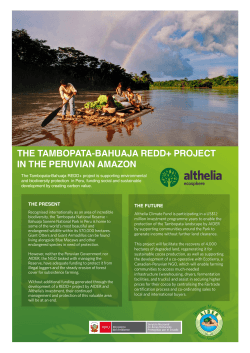 Althelia - Tambopata Brochure - FINAL