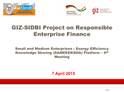 GIZ-SIDBI Project on Responsible Enterprise Finance