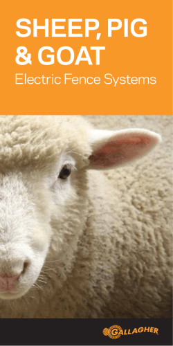 Sheep/Goats Electric Fence Booklet