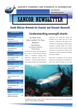 SANCOR Newsletter 207 - Sancor home page
