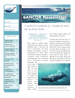 SANCOR Newsletter 208 - Sancor home page