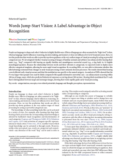 Words jump-start vision: a label advantage in object