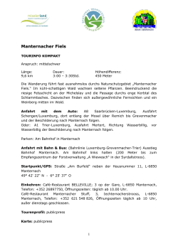 Manternacher Fiels