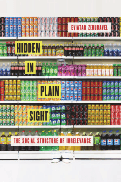 Hidden in Plain Sight: The Social Structure of Irrelevance
