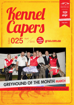 April Edition - Greyhound Racing South Australia