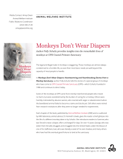 Monkeys Don`t Wear Diapers
