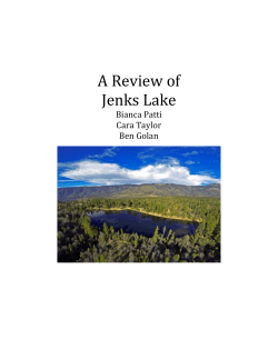 A Review of Jenks Lake