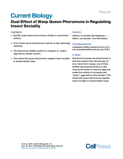 Dual Effect of Wasp Queen Pheromone in Regulating