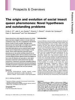 The origin and evolution of social insect queen pheromones: Novel