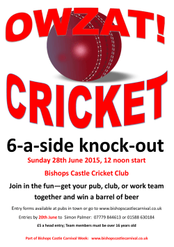 Knock out Cricket Poster 2015.pub