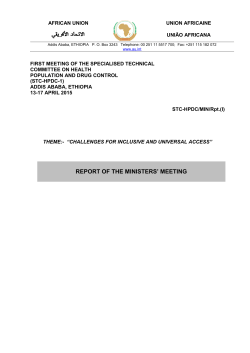 STC-HPDC-1 Ministers Report - FINAL -English