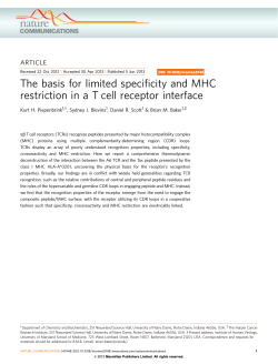 The basis for limited specificity and MHC restriction in a T cell