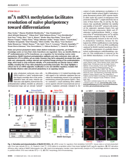 Geula S et al. (2015). m6A mRNA methylation facilitates resolution