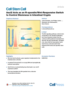 Ascl2 Acts as an R-spondin/Wnt-Responsive Switch to Control