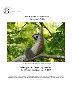 Madagascar: Ghosts of the Past